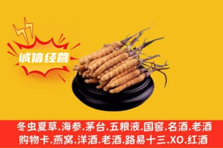 徐州回收冬虫夏草